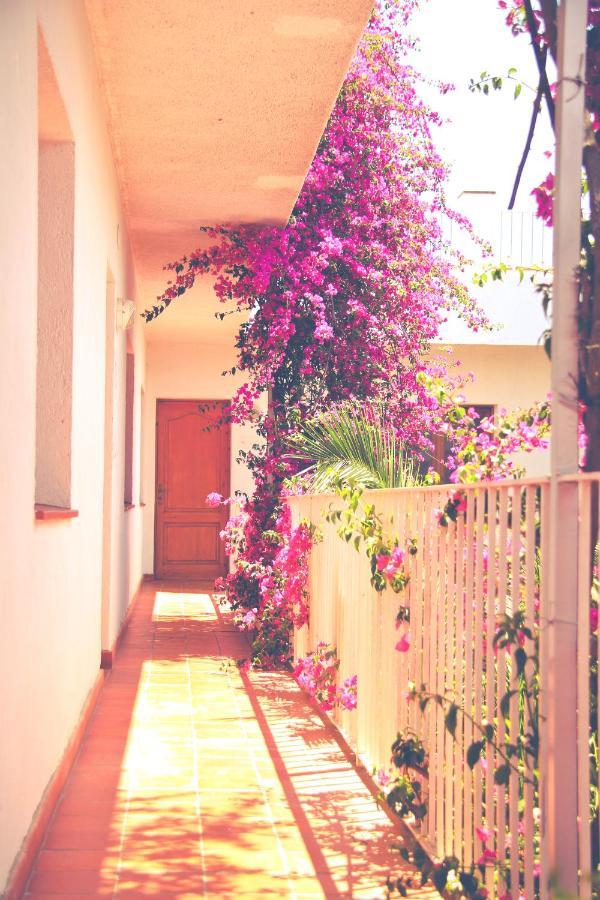 El Penell Apartament Llevant Vilamaniscle ภายนอก รูปภาพ